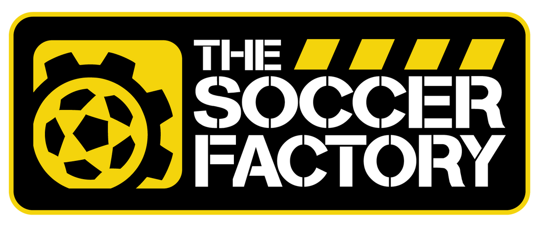 TSF LOGO