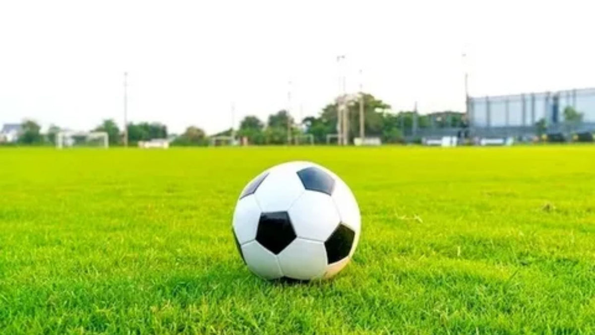 Top 5 FIFA-Approved Soccer Balls for Professional Players