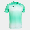 Joma Tiger V Jersey - Mint / Black