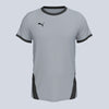 Puma Team Goal Jersey - Grey