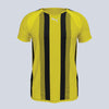 Team Liga 25 Stripe Jersey - Gold / Black