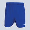 Puma Team Rise Short - Royal