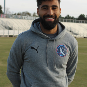 Puma TEAM GOAL Training Hoodie