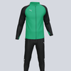 Puma Team Liga 25 Training Suit - Kelly Green / Black