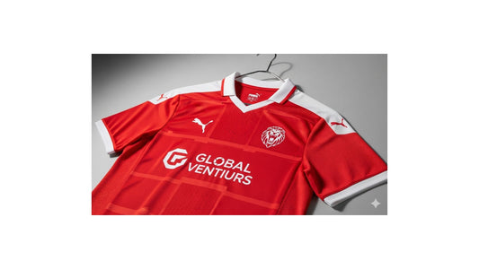 How to Pick the Right Puma Soccer Jersey for Your Team?