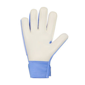 Nike JR Match GK Glove