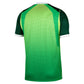 Nike Nigeria Home Jersey 2026