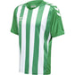 Hummel Core XK Striped Jersey