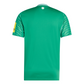 Adidas Newcastle United FC Away Jersey 25/26