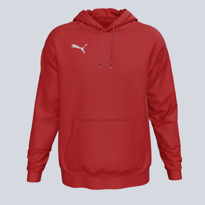 Puma TEAM GOAL Training Hoodie