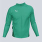 Puma TEAM GOAL Training Jacket