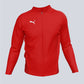 Puma TEAM GOAL Training Jacket