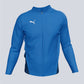 Puma TEAM GOAL Training Jacket