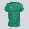 Puma Team Ultimate 25 Jersey - Green