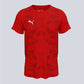 Puma Team Ultimate 25 Jersey