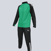 Puma Women's Team Liga 25 Training Suit - Kelly Green / Black