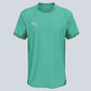 Puma Team Final Jersey