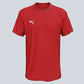 Puma Team Final Jersey
