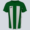 Joma Inter VI Jersey - Green / White