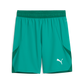 Puma Team Final Short