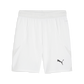 Puma Team Final Short
