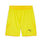 Puma Team Final Short