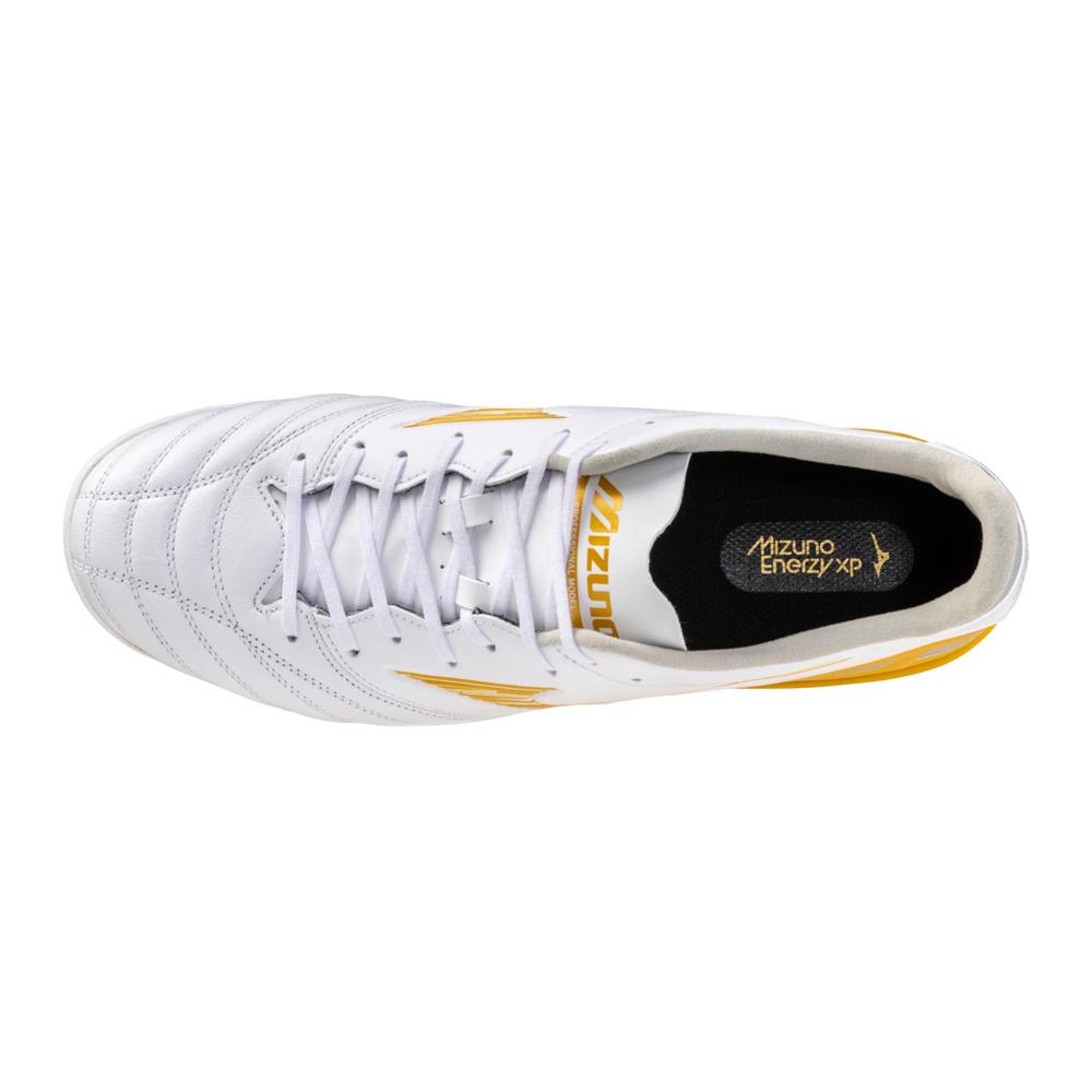 Morelia Neo IV Pro AS