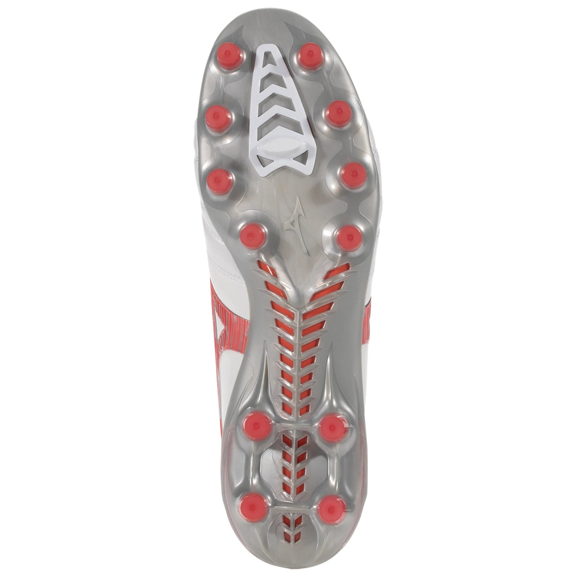 Morelia Neo IV (MIJ) Morelia Neo IV (MIJ)